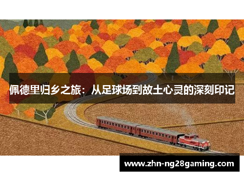 佩德里归乡之旅：从足球场到故土心灵的深刻印记