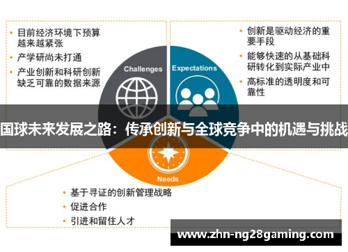 国球未来发展之路：传承创新与全球竞争中的机遇与挑战